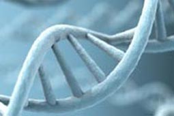 秋思手机号轰炸平台